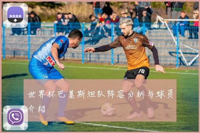 世界杯巴基斯坦队阵容分析与球员介绍