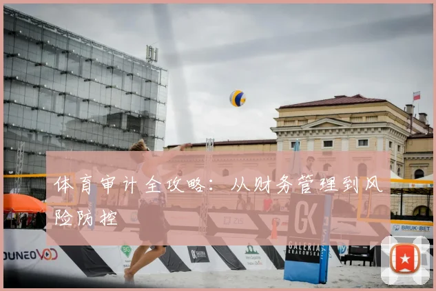 体育审计全攻略：从财务管理到风险防控