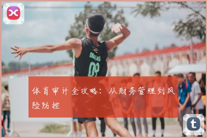 体育审计全攻略:从财务管理到风险防控